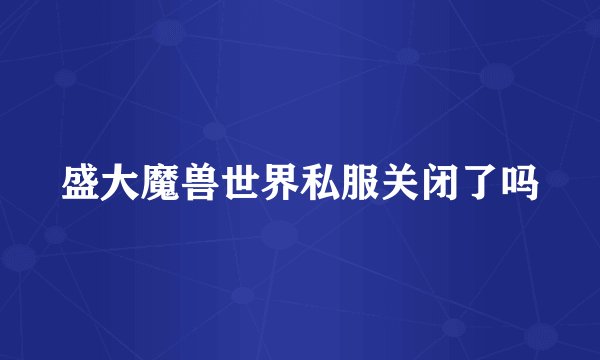 盛大魔兽世界私服关闭了吗