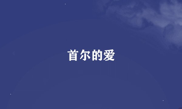 首尔的爱