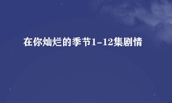 在你灿烂的季节1-12集剧情