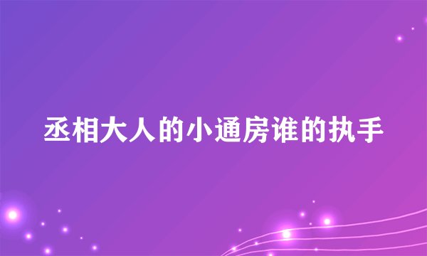 丞相大人的小通房谁的执手
