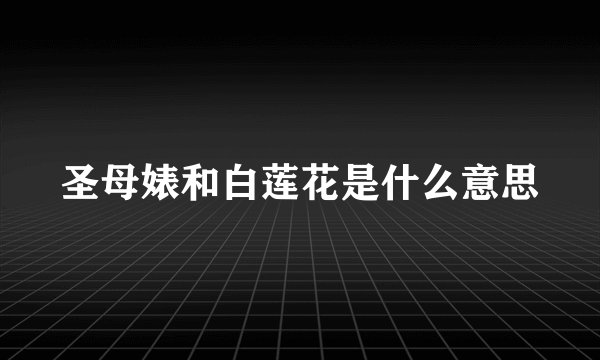 圣母婊和白莲花是什么意思