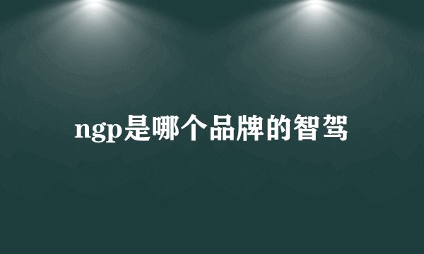 ngp是哪个品牌的智驾
