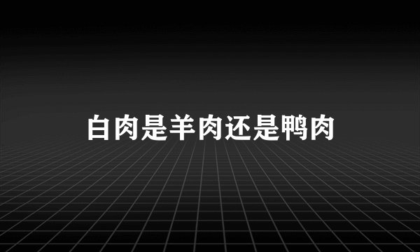 白肉是羊肉还是鸭肉