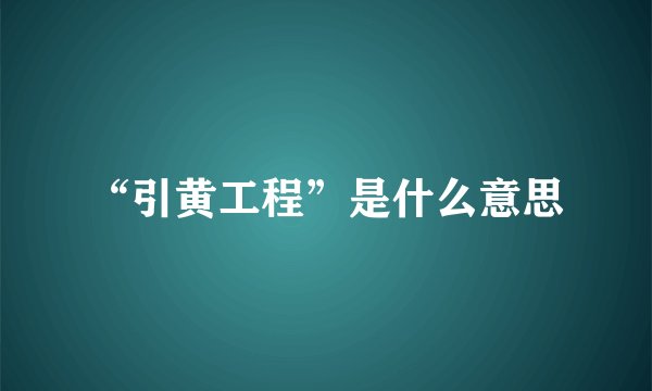 “引黄工程”是什么意思
