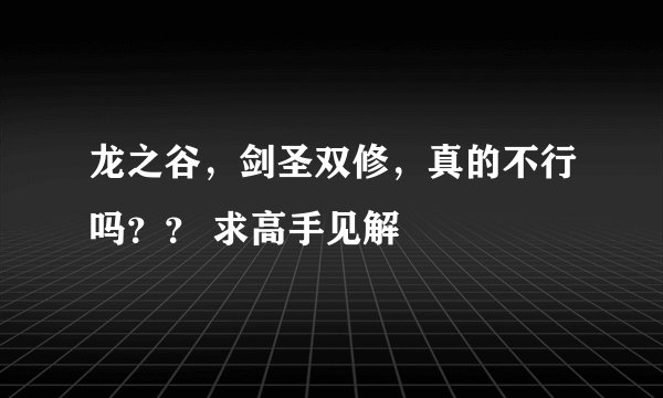 龙之谷，剑圣双修，真的不行吗？？ 求高手见解
