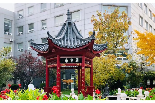 bes是哪的学校