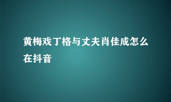 黄梅戏丁格与丈夫肖佳成怎么在抖音