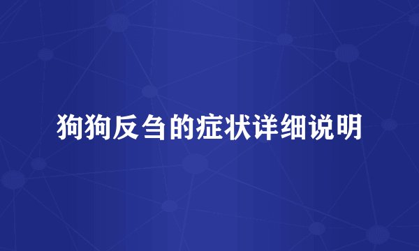 狗狗反刍的症状详细说明