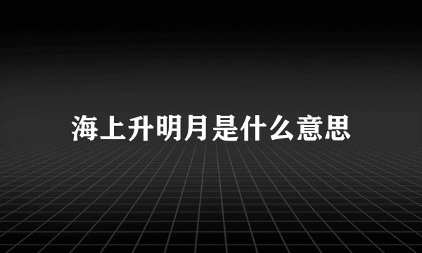 海上升明月是什么意思