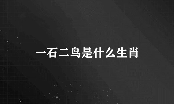 一石二鸟是什么生肖