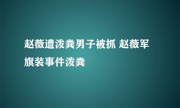 赵薇遭泼粪男子被抓 赵薇军旗装事件泼粪
