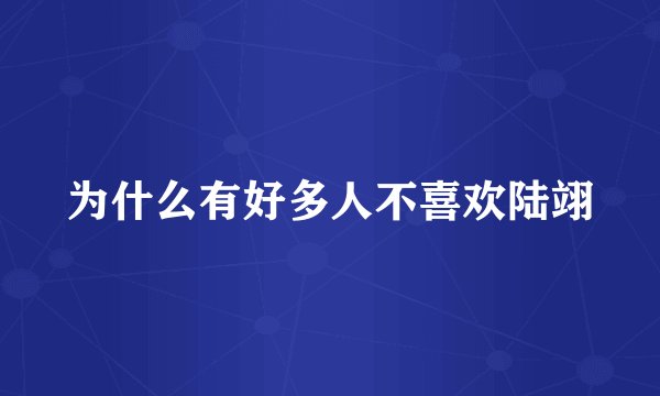 为什么有好多人不喜欢陆翊