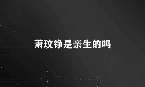 萧玟铮是亲生的吗