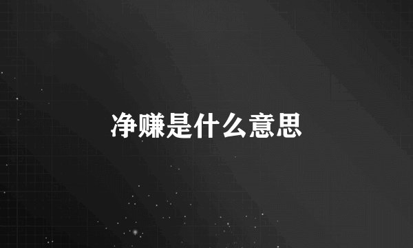 净赚是什么意思