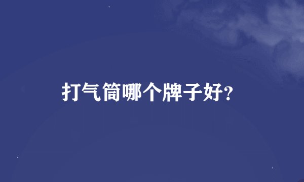 打气筒哪个牌子好？