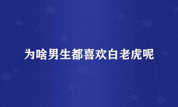 为啥男生都喜欢白老虎呢