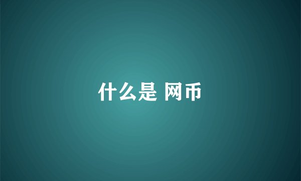什么是 网币