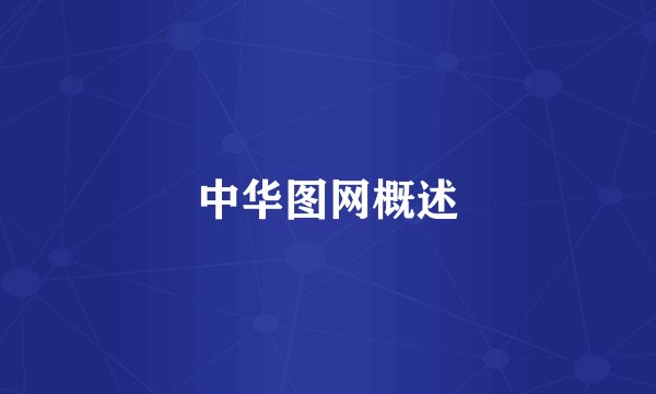 中华图网概述