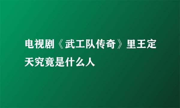 电视剧《武工队传奇》里王定天究竟是什么人
