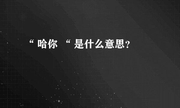 “ 哈你 “ 是什么意思？
