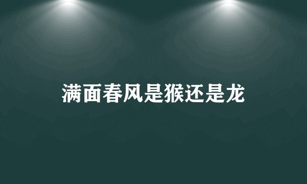 满面春风是猴还是龙