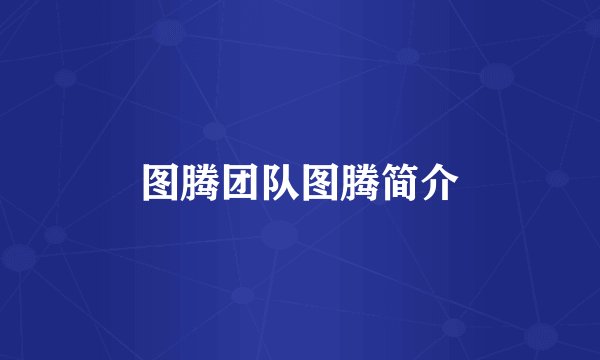 图腾团队图腾简介