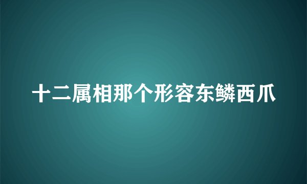 十二属相那个形容东鳞西爪