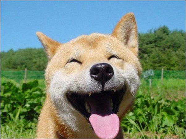 什么声大笑