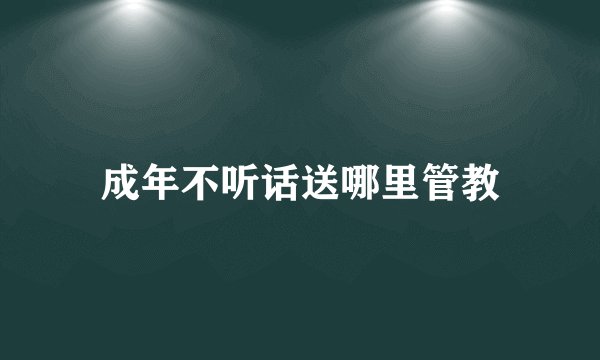 成年不听话送哪里管教