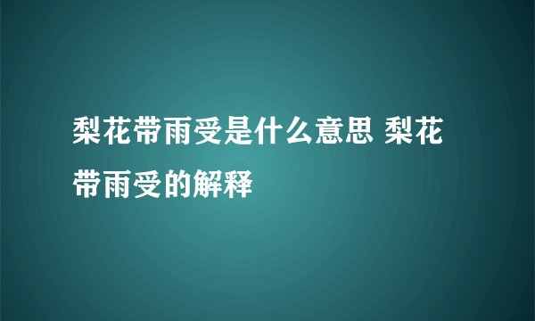 梨花带雨受是什么意思 梨花带雨受的解释