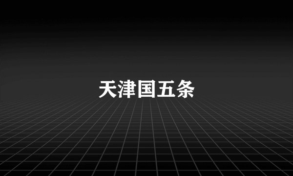 天津国五条