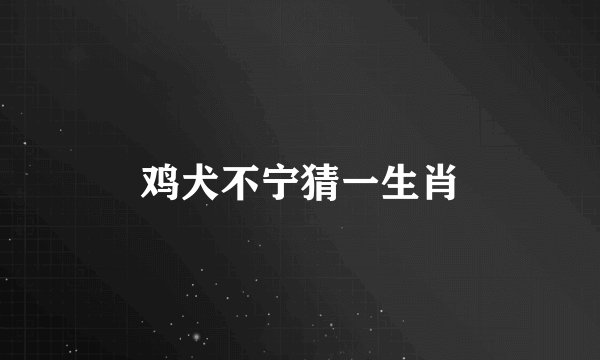 鸡犬不宁猜一生肖