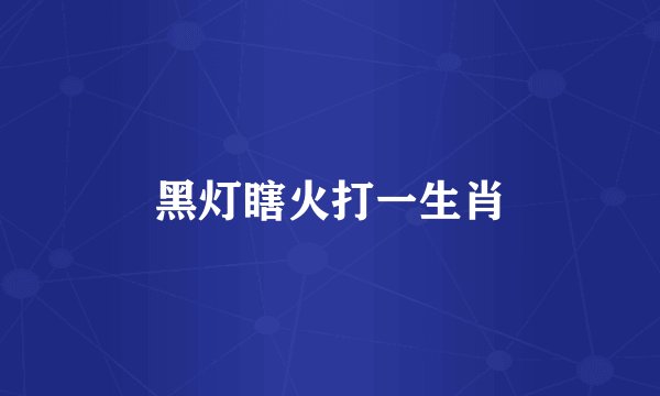 黑灯瞎火打一生肖
