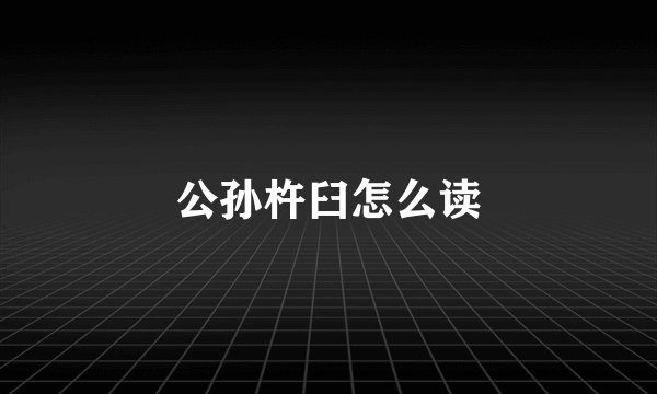 公孙杵臼怎么读