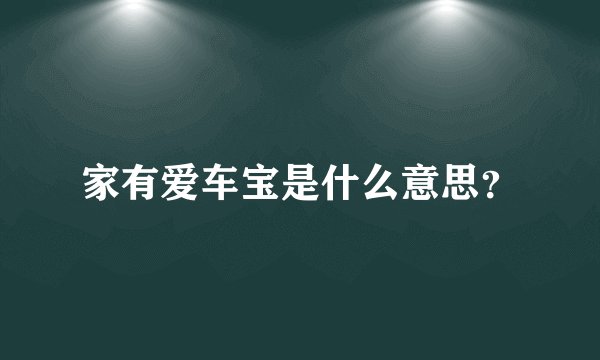 家有爱车宝是什么意思？