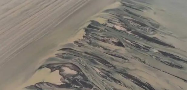 惊现是啥意思