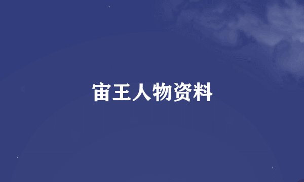 宙王人物资料