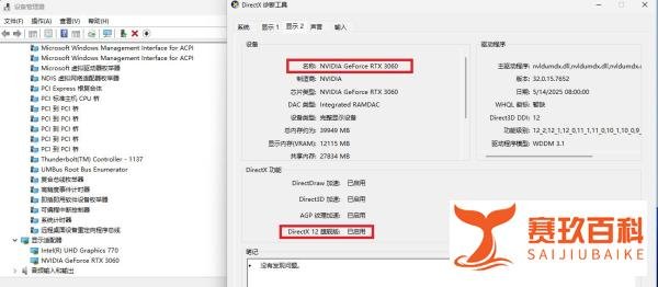 为什么我的DirecX 12 旗舰版显示为“已禁用”状态?