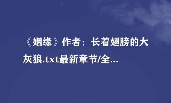 《姻缘》作者：长着翅膀的大灰狼.txt最新章节/全集txt免费下载