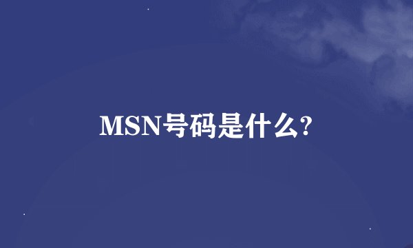 MSN号码是什么?