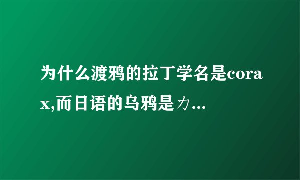 为什么渡鸦的拉丁学名是corax,而日语的乌鸦是カラス(karas