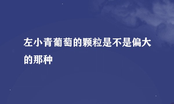 左小青葡萄的颗粒是不是偏大的那种