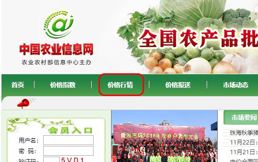 哪里可以查询每日菜价?