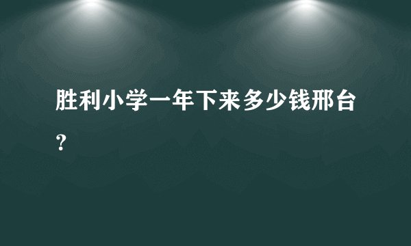 胜利小学一年下来多少钱邢台？