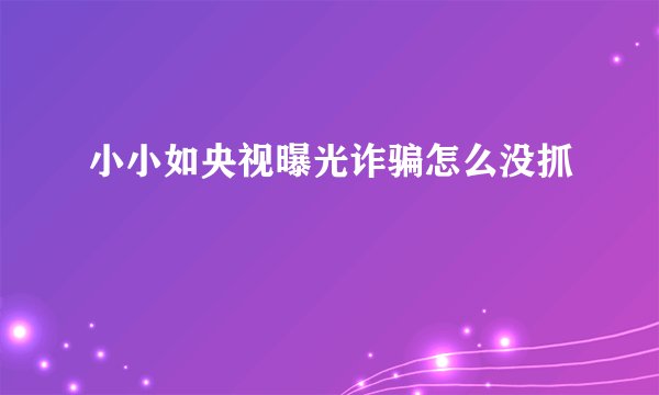 小小如央视曝光诈骗怎么没抓