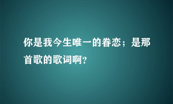 你是我今生唯一的眷恋；是那首歌的歌词啊？