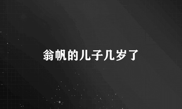 翁帆的儿子几岁了