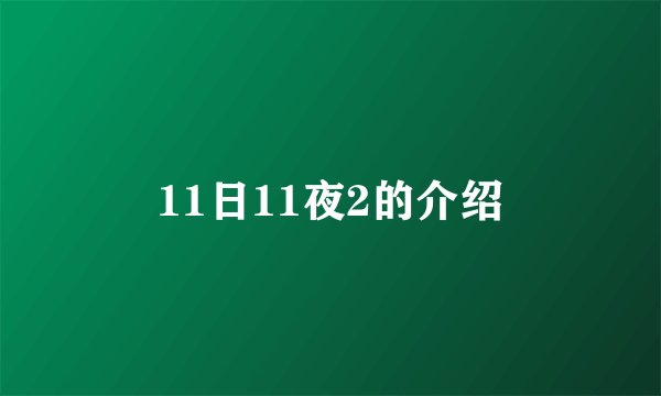 11日11夜2的介绍