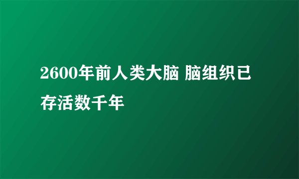 2600年前人类大脑 脑组织已存活数千年