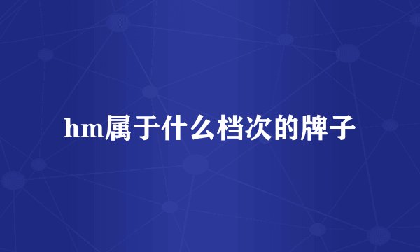 hm属于什么档次的牌子